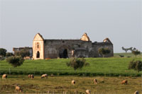 Convento de S.Francisco